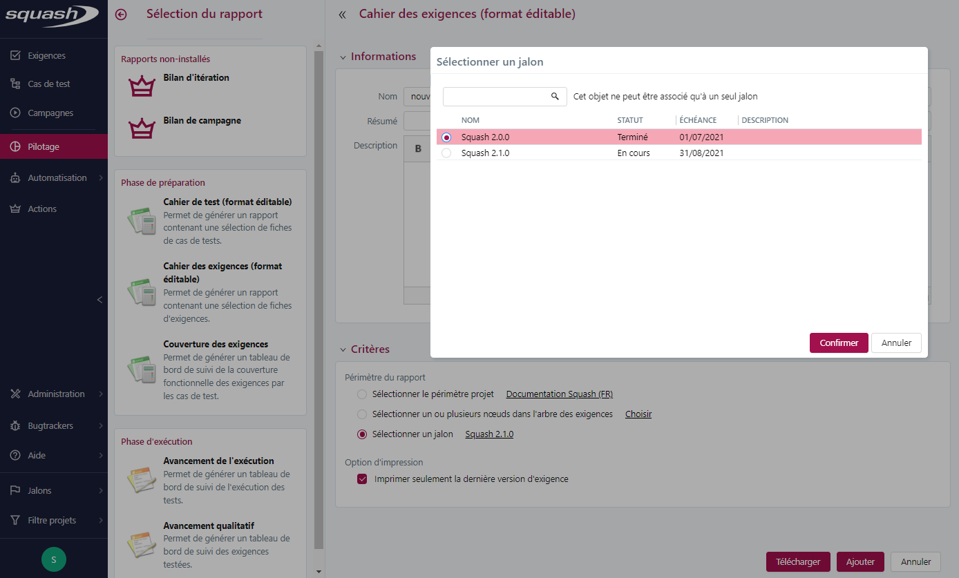 Rapport à partir d'un jalon